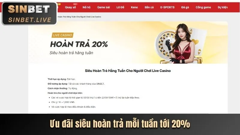 Tính năng khuyến mãi và hỗ trợ khách hàng của 566win app